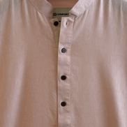 Blush Pink Punjabi